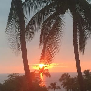 Meet your Posher, Lindsay